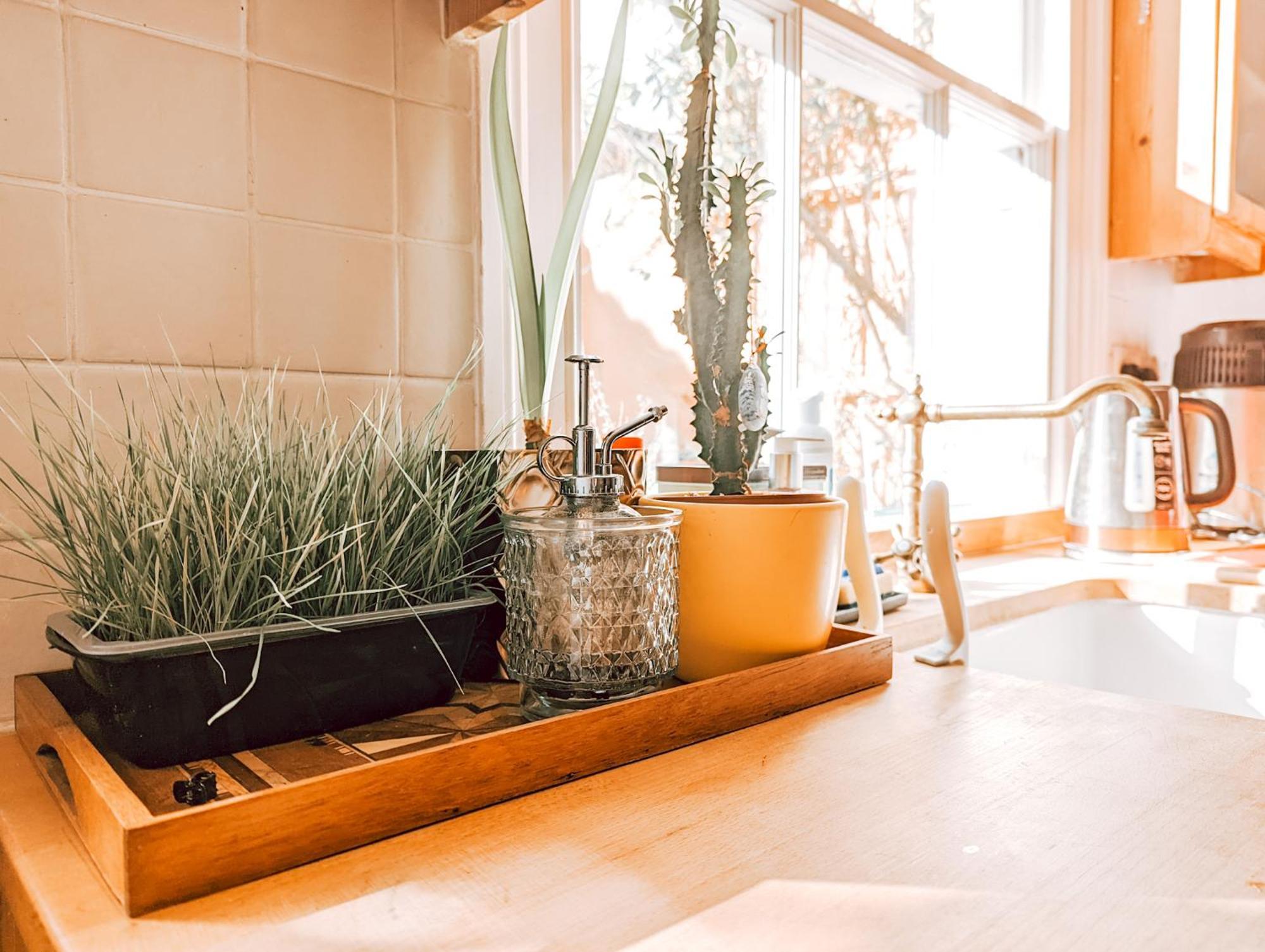 The Clapham Apartment With Private Patio ลอนดอน ภายนอก รูปภาพ